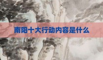 南阳十大行动内容是什么