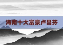 海南十大富豪卢昌芬