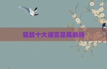 驱蚊十大谣言是真的吗