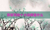 苏轼写的十大词牌是什么