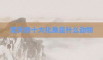 梵天的十大化身是什么动物