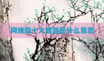 网络局十大套路是什么意思