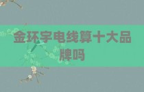 金环宇电线算十大品牌吗