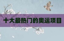 十大最热门的奥运项目
