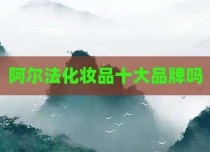 阿尔法化妆品十大品牌吗