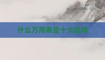 什么万用表是十大品牌