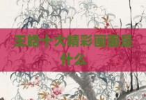 王皓十大精彩画面是什么