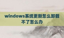windows系统更新怎么卸载不了怎么办