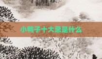 小鸭子十大忌是什么
