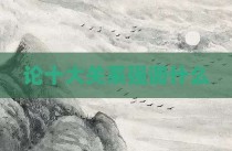 论十大关系强调什么