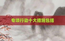 专项行动十大措施包括
