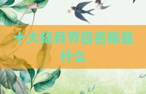 十大标兵节目名称是什么