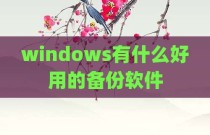 windows有什么好用的备份软件