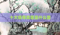 十大低等真菌是什么菌