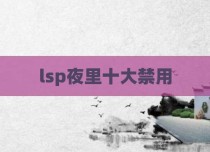 lsp夜里十大禁用