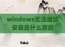 windows无法继续安装是什么原因