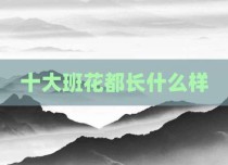 十大班花都长什么样