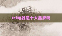 tcl电器是十大品牌吗