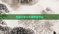 生辰八字十大神煞是什么