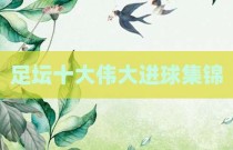 足坛十大伟大进球集锦