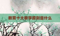 教育十大教学原则是什么