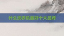 什么洗衣机最好十大品牌