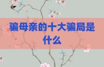 骗母亲的十大骗局是什么