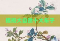 模拟大自然十大车子