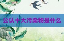 公认十大污染物是什么