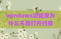 windows功能里为什么不能打开扫描