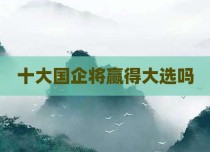 十大国企将赢得大选吗