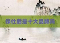 保仕盾是十大品牌吗