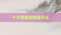 十大感情动物是什么