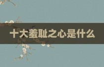 十大羞耻之心是什么