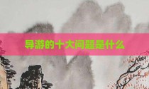 导游的十大问题是什么