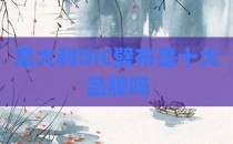 意大利DIC壁布是十大品牌吗