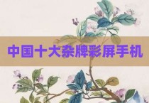 中国十大杂牌彩屏手机