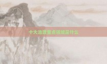 十大治理重点领域是什么