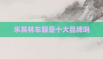 米其林车膜是十大品牌吗