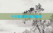 十大真实动作电影推荐