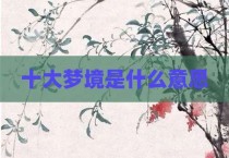 十大梦境是什么意思