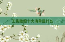 工伤赔偿十大清单是什么