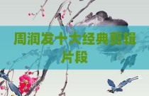 周润发十大经典剪辑片段