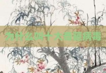 为什么叫十大奇葩病毒