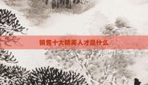 销售十大精英人才是什么
