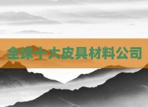 全球十大皮具材料公司