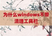 为什么windows不带清理工具栏