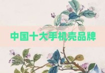 中国十大手机壳品牌