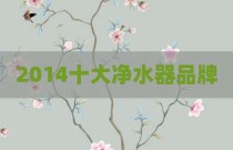 2014十大净水器品牌