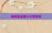 吴林是全国十大青年吗